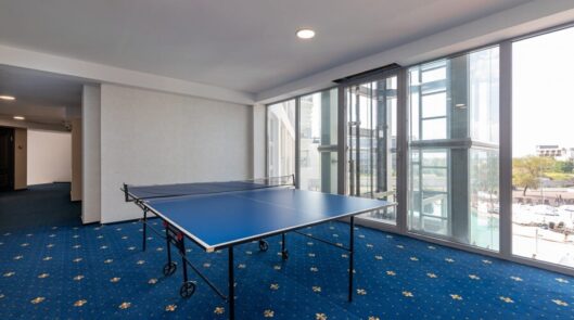 Настольный теннис